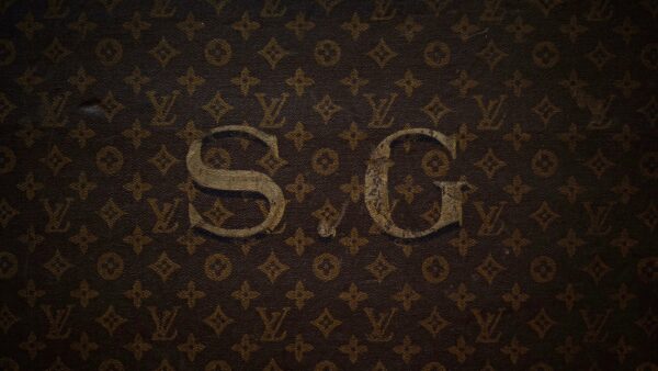 the-trunk-louis-vuitton-homepage-84